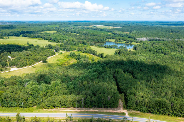 4.3 Acres With Beautiful Pines and Power on Property Near Macon, GA