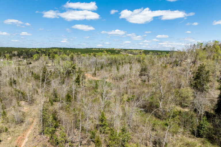 6.9 Acres Close to Lake Wateree With Flat Spot to Build Near Camden, SC
